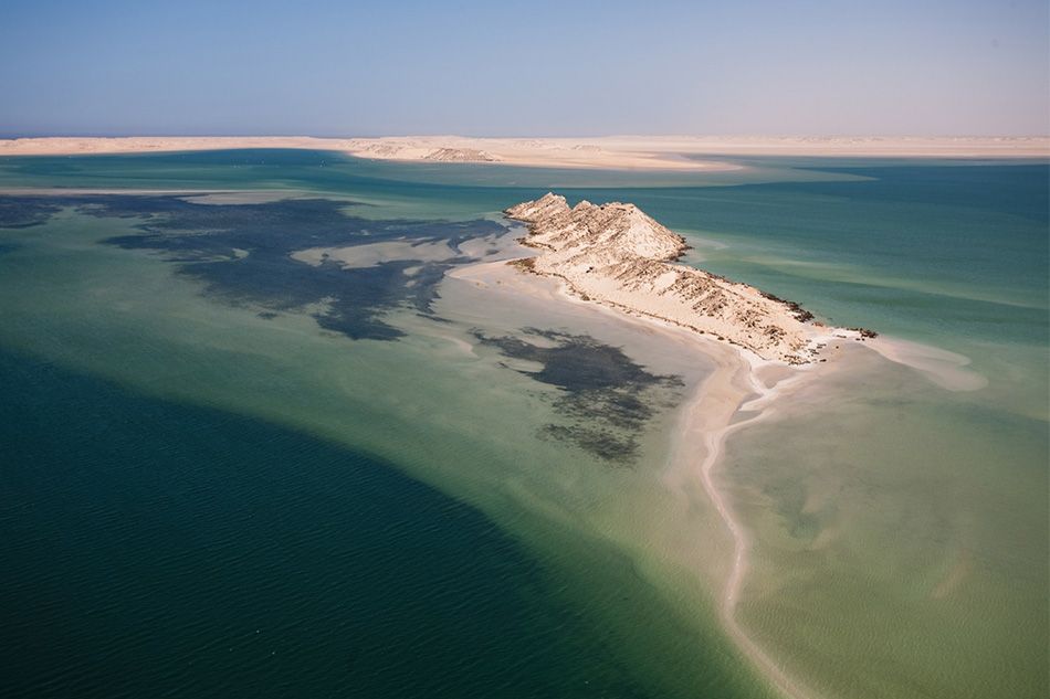 Île du Dragon à Dakhla