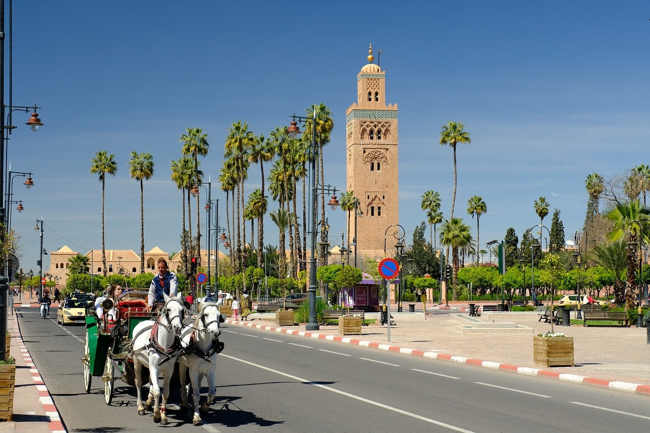 Découverte du patrimoine de Marrakech