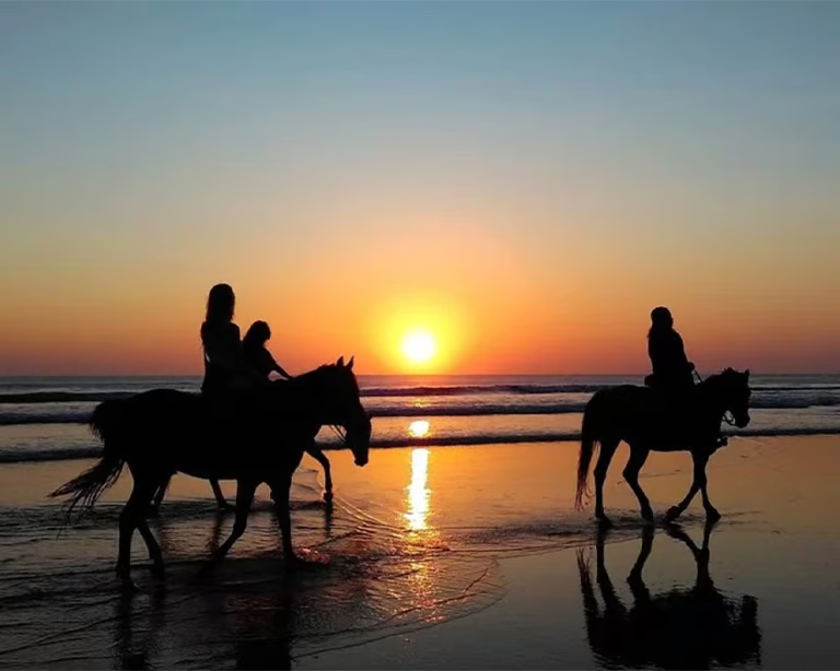 Cavaliers sur la plage au coucher du soleil