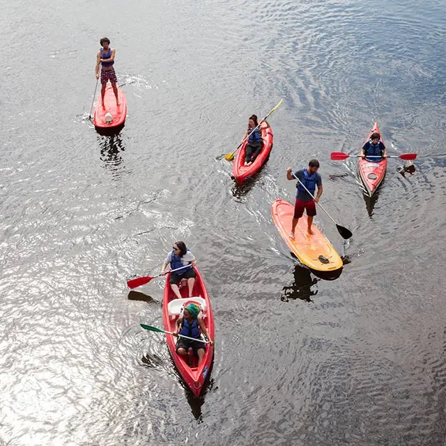 Participants en kayak et paddle sur l’eau
